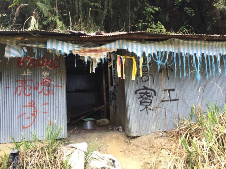 1041221 單攻水漾森林 A線(鹿屈山)去B線(林道)回