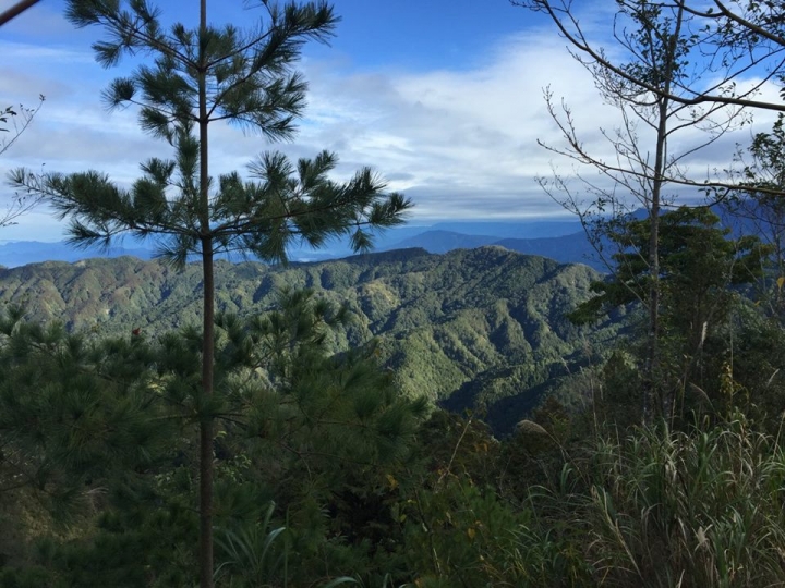 1041221 單攻水漾森林 A線(鹿屈山)去B線(林道)回