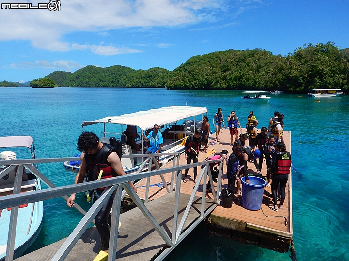 [小惡魔2015員旅] 帛琉浮潛Day2：牛奶湖/七彩魚/水母湖/鯊魚城/干貝城/美人魚水道
