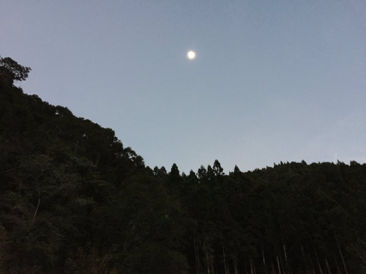 1041221 單攻水漾森林 A線(鹿屈山)去B線(林道)回