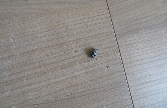竹北歐匠裝潢經驗分享