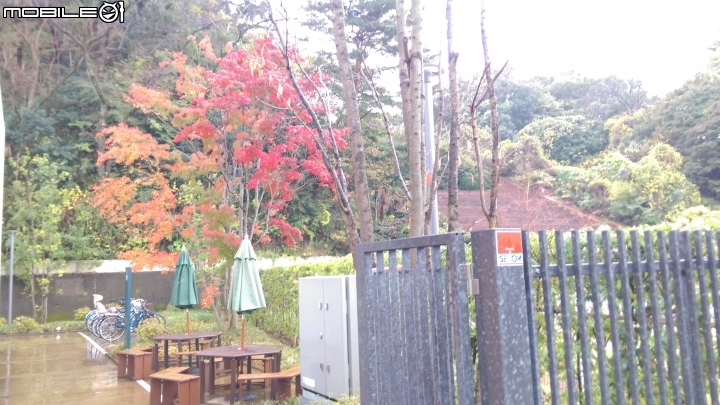 藤子不二雄館(多拉A夢)散步遊