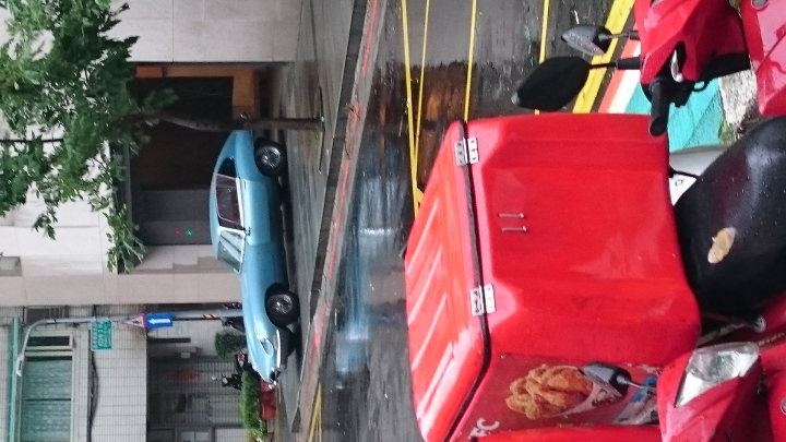 野生的Jaguar E-Type
