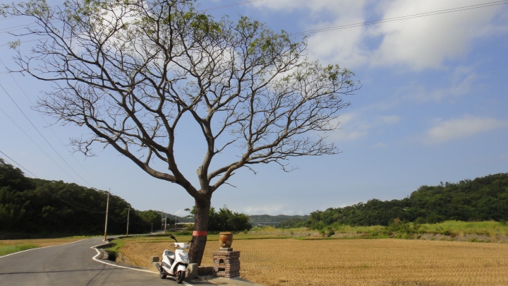 2015-11-24 誤入歧途之 縣道119全線 + 「西湖伯朗大道」與「好望角」 的山海一日遊(下集)