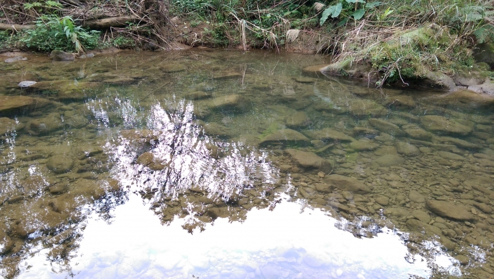 2015/12/20 三貂嶺瀑布行 -1