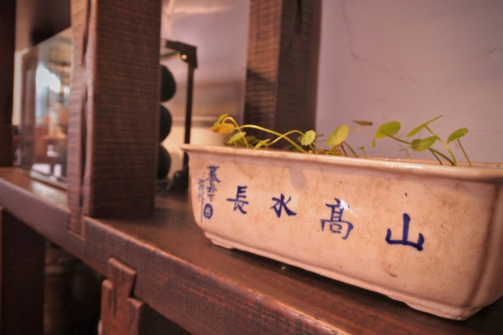 Hi~Nikon J5獻醜了