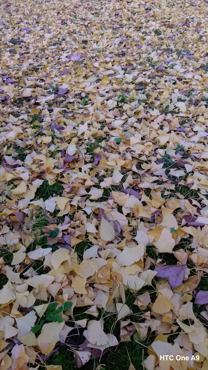 iPhone 6s v.s HTC One A9（京阪神旅行篇）
