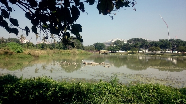 肥吱吱與綠胖胖之到高雄解嘴饞（十一月重機小旅行）