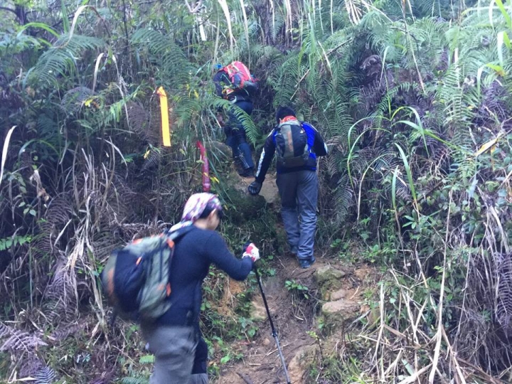 1041221 單攻水漾森林 A線(鹿屈山)去B線(林道)回