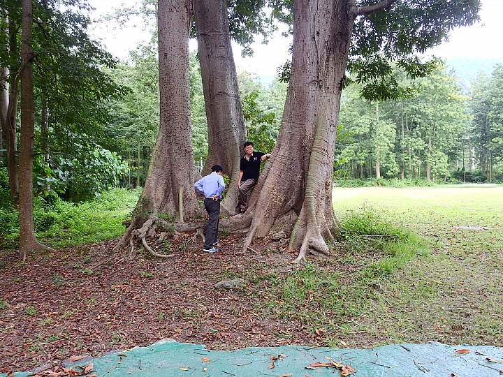 安排高中同學半日遊，發覺很棒，非常讓人開心，您也可以這樣玩。