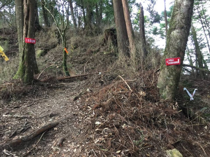 1041221 單攻水漾森林 A線(鹿屈山)去B線(林道)回