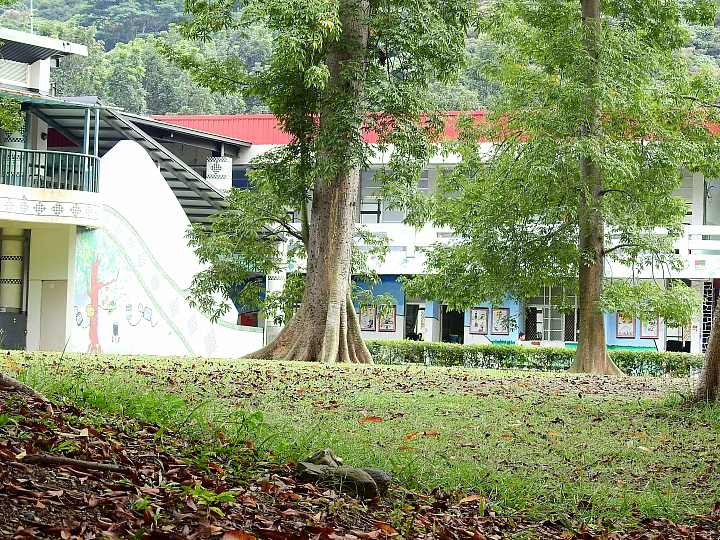 安排高中同學半日遊，發覺很棒，非常讓人開心，您也可以這樣玩。