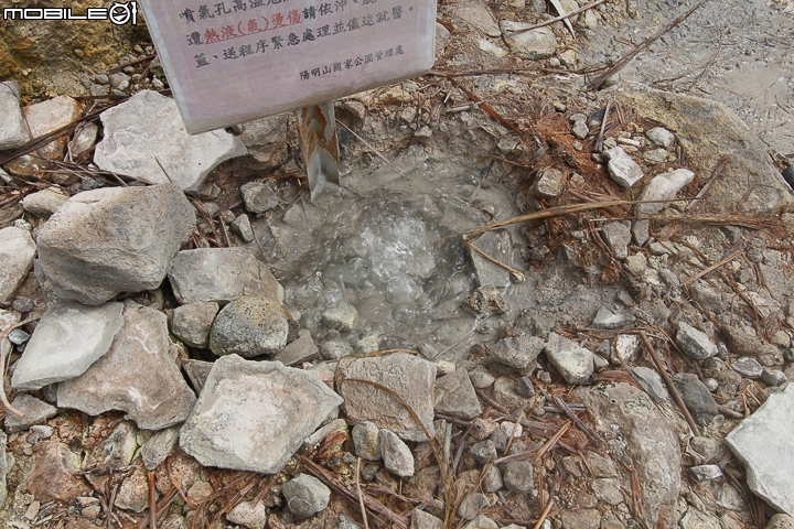 隱藏山中的小型圖書館 陽明山出霧溫泉