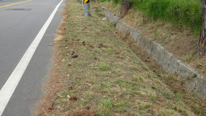 2015-11-24 誤入歧途之 縣道119全線 + 「西湖伯朗大道」與「好望角」 的山海一日遊(下集)