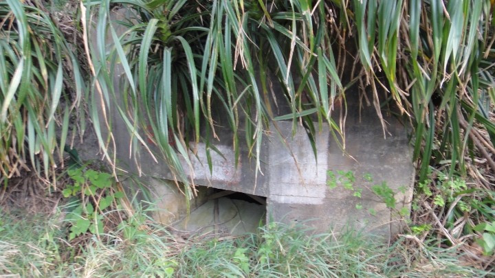 2015-11-24 誤入歧途之 縣道119全線 + 「西湖伯朗大道」與「好望角」 的山海一日遊(下集)