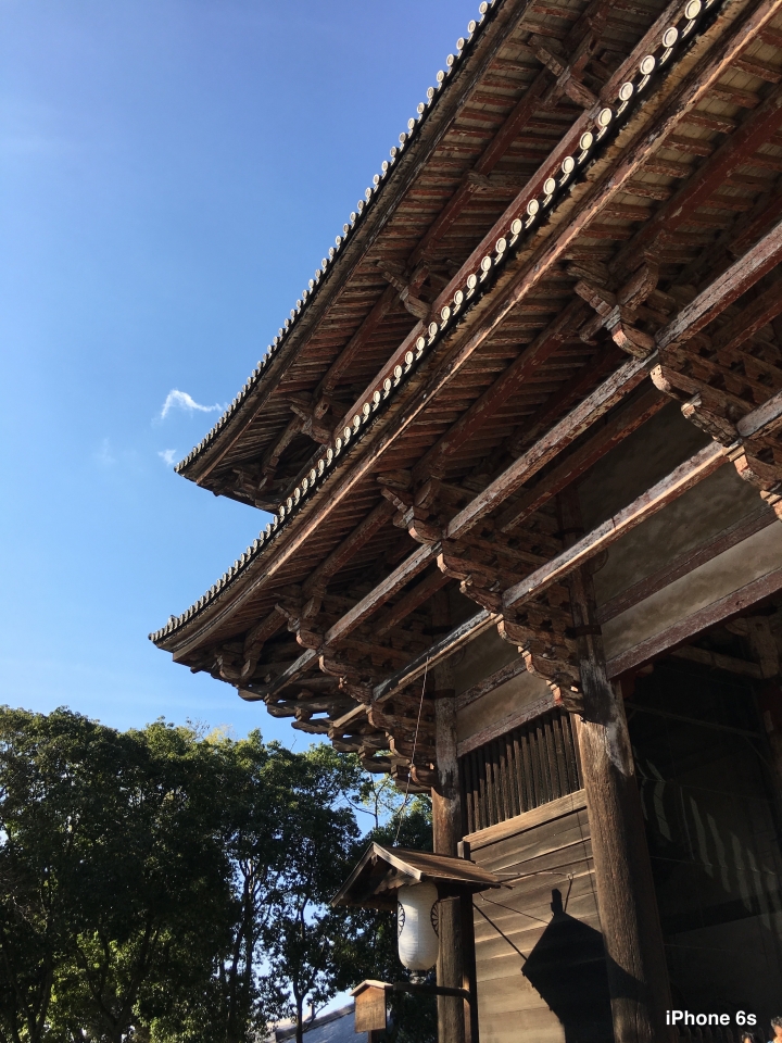 iPhone 6s v.s HTC One A9（京阪神旅行篇）