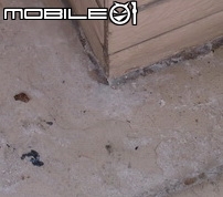 女兒牆出現白色粉末,求助