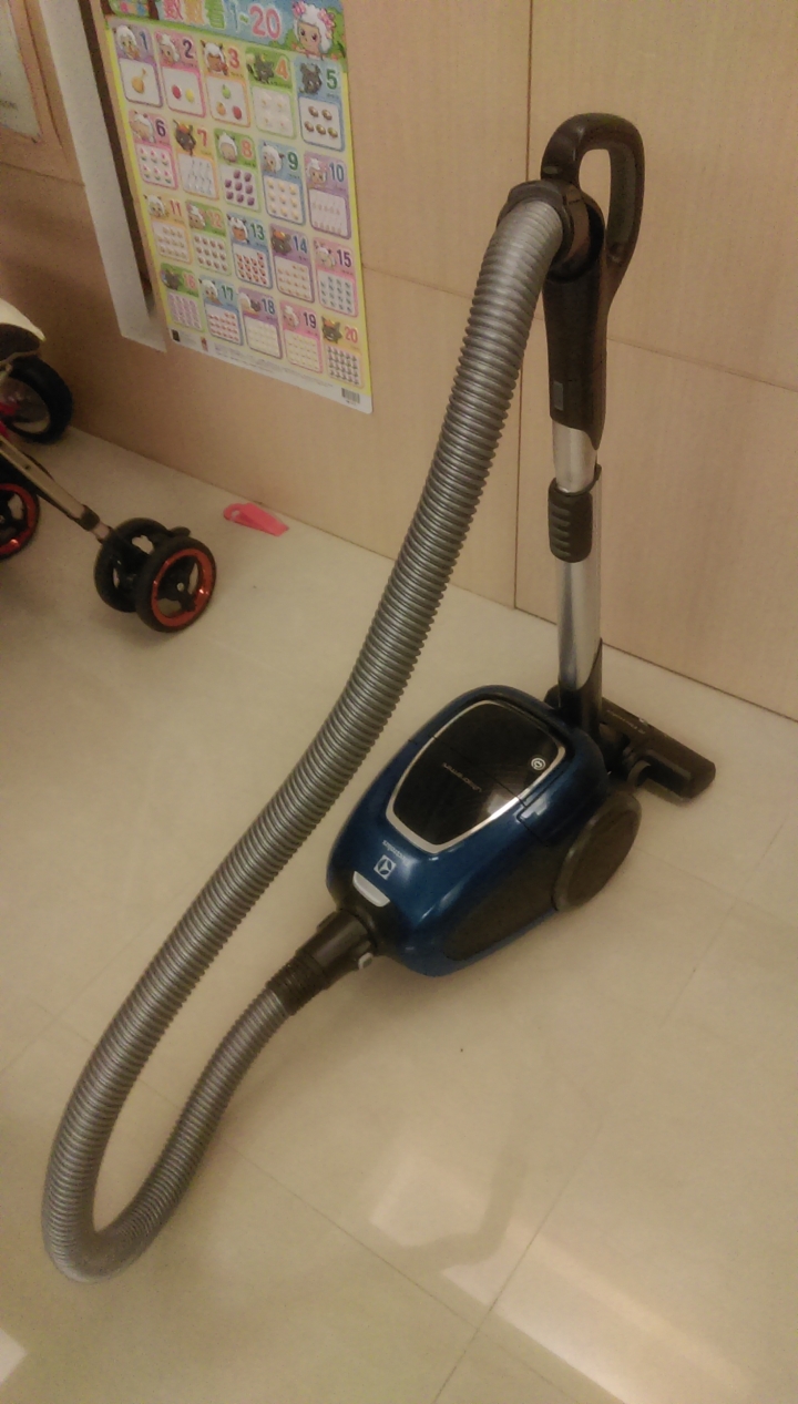 伊萊克斯 Ultra one mini 買大送小，不錯用