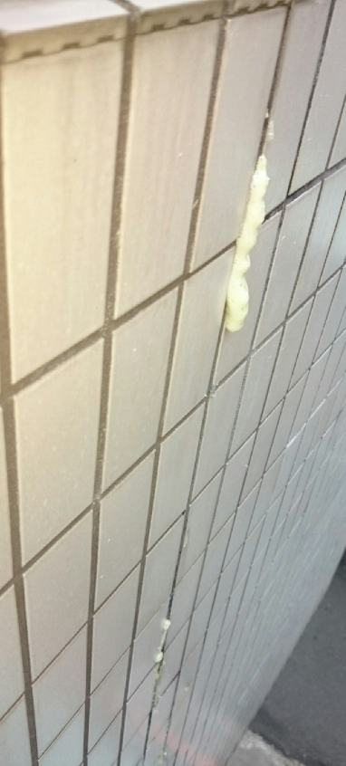 生手:高壓灌注DIY- 水泥牆面裂縫漏水處理