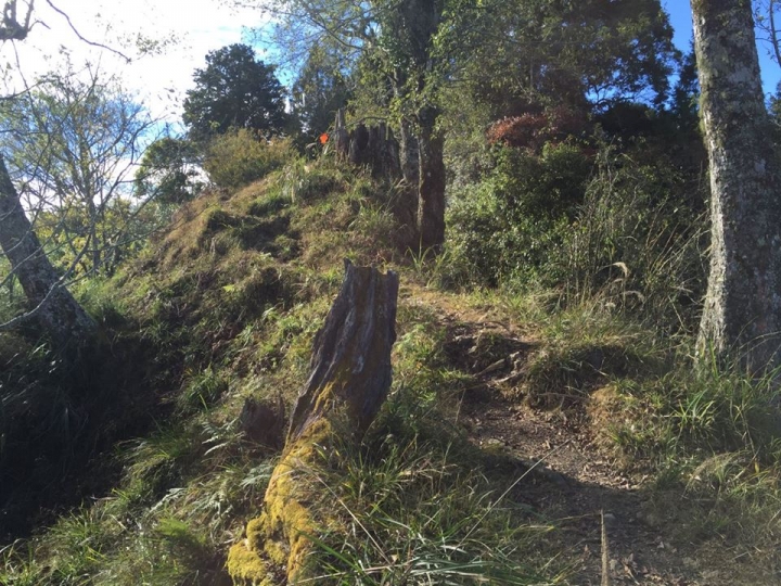 1041221 單攻水漾森林 A線(鹿屈山)去B線(林道)回