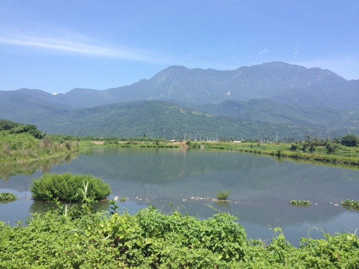 遲到的單車環島差一步之旅(文多...圖多...請見諒)