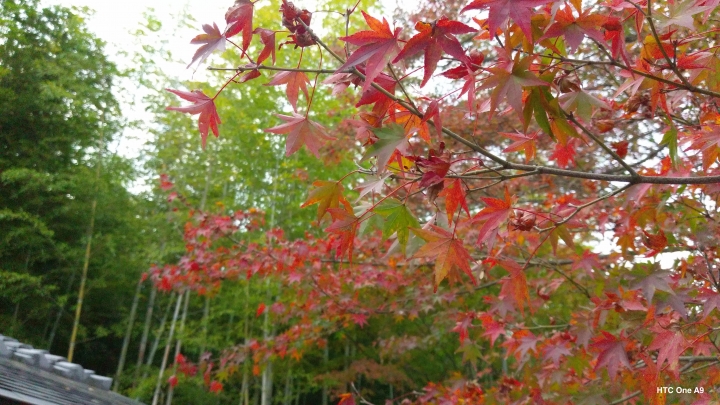 iPhone 6s v.s HTC One A9（京阪神旅行篇）