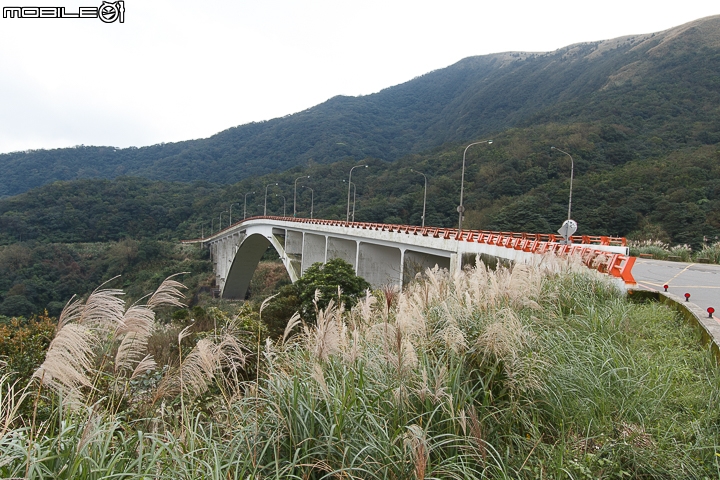 隱藏山中的小型圖書館 陽明山出霧溫泉