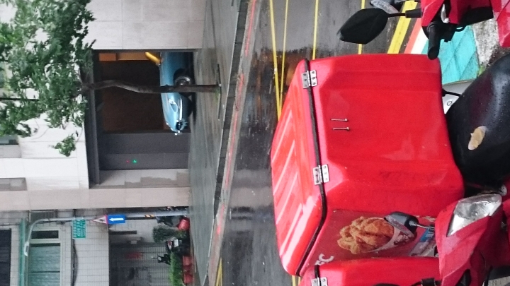 野生的Jaguar E-Type
