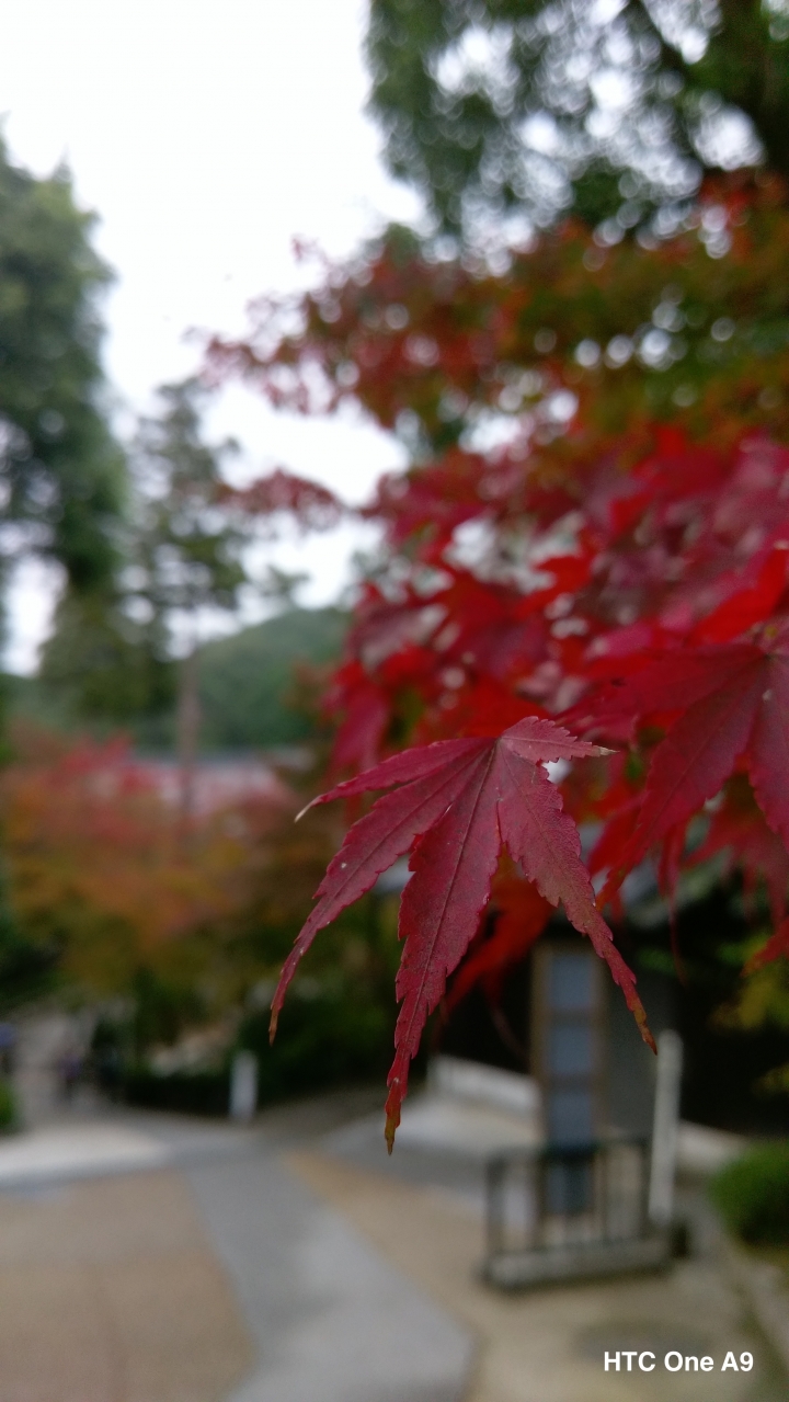 iPhone 6s v.s HTC One A9（京阪神旅行篇）