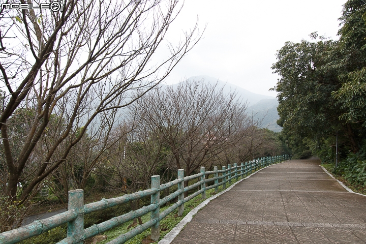 隱藏山中的小型圖書館 陽明山出霧溫泉