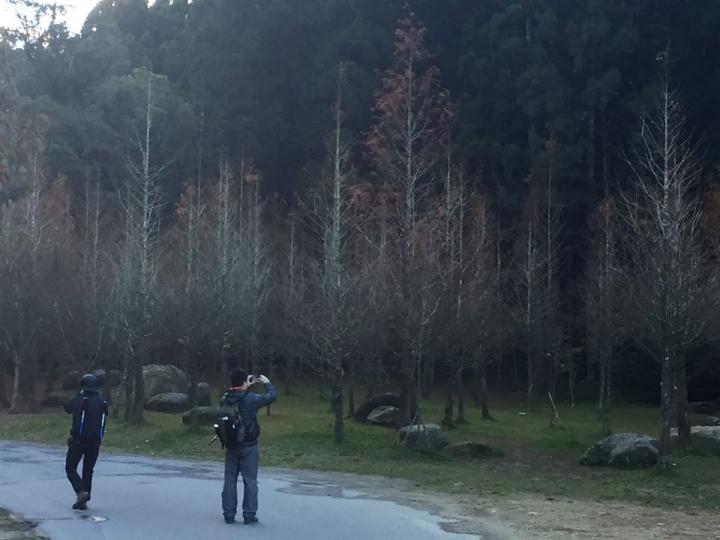 1041221 單攻水漾森林 A線(鹿屈山)去B線(林道)回
