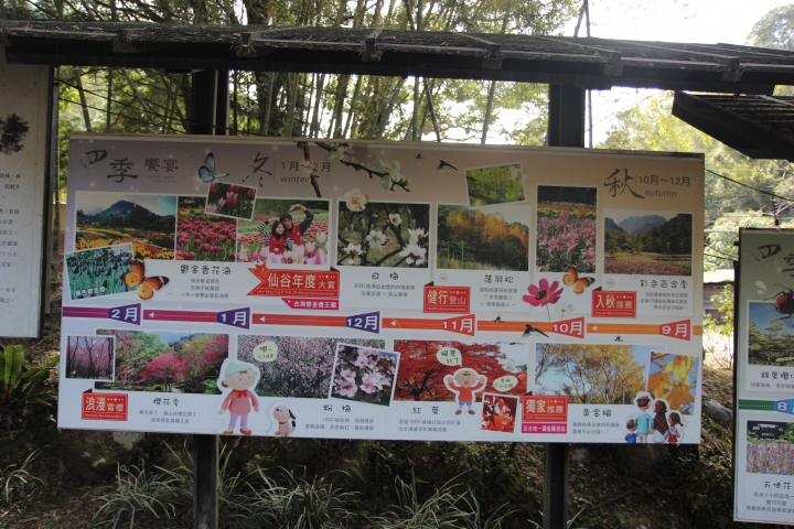 油錢比門票便宜，台灣最大的神祕花谷