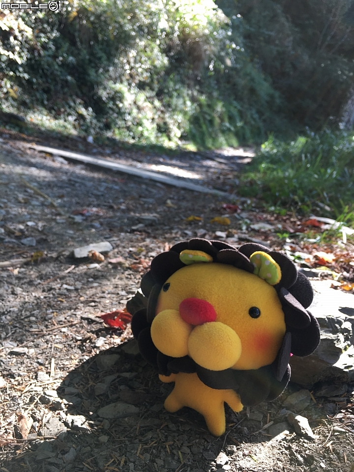 [登山遊記]2015-11-27.28五星級天池山莊之奇萊南華行（圖多慎入）-12/4更新