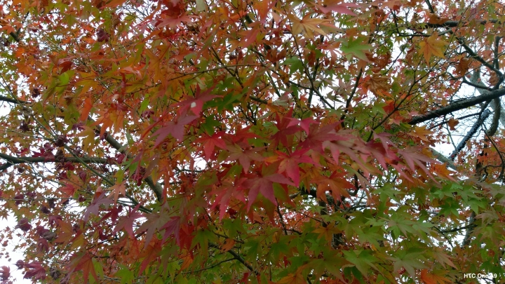 iPhone 6s v.s HTC One A9（京阪神旅行篇）