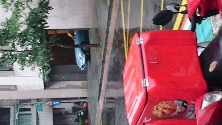 野生的Jaguar E-Type