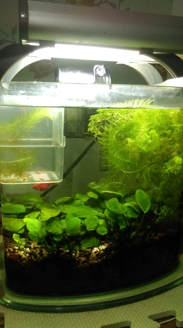洗缸
