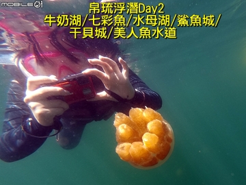 [小惡魔2015員旅] 帛琉老爺酒店 坐擁私人沙灘與碼頭