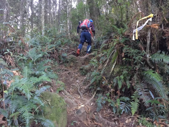 1041221 單攻水漾森林 A線(鹿屈山)去B線(林道)回