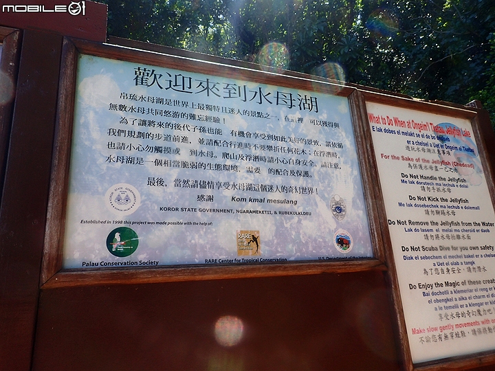 [小惡魔2015員旅] 帛琉浮潛Day2：牛奶湖/七彩魚/水母湖/鯊魚城/干貝城/美人魚水道