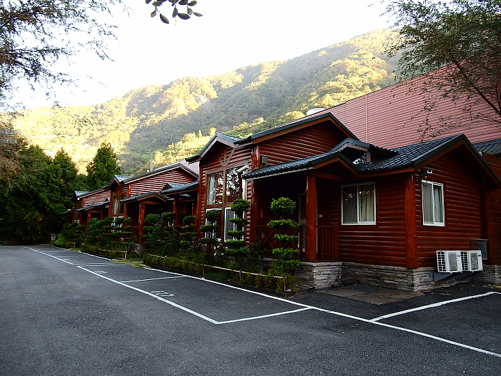 湯屋有兩棵大樹耶！全家開心東埔沙里仙泡溫泉，拍星軌、享受陽光燦爛。