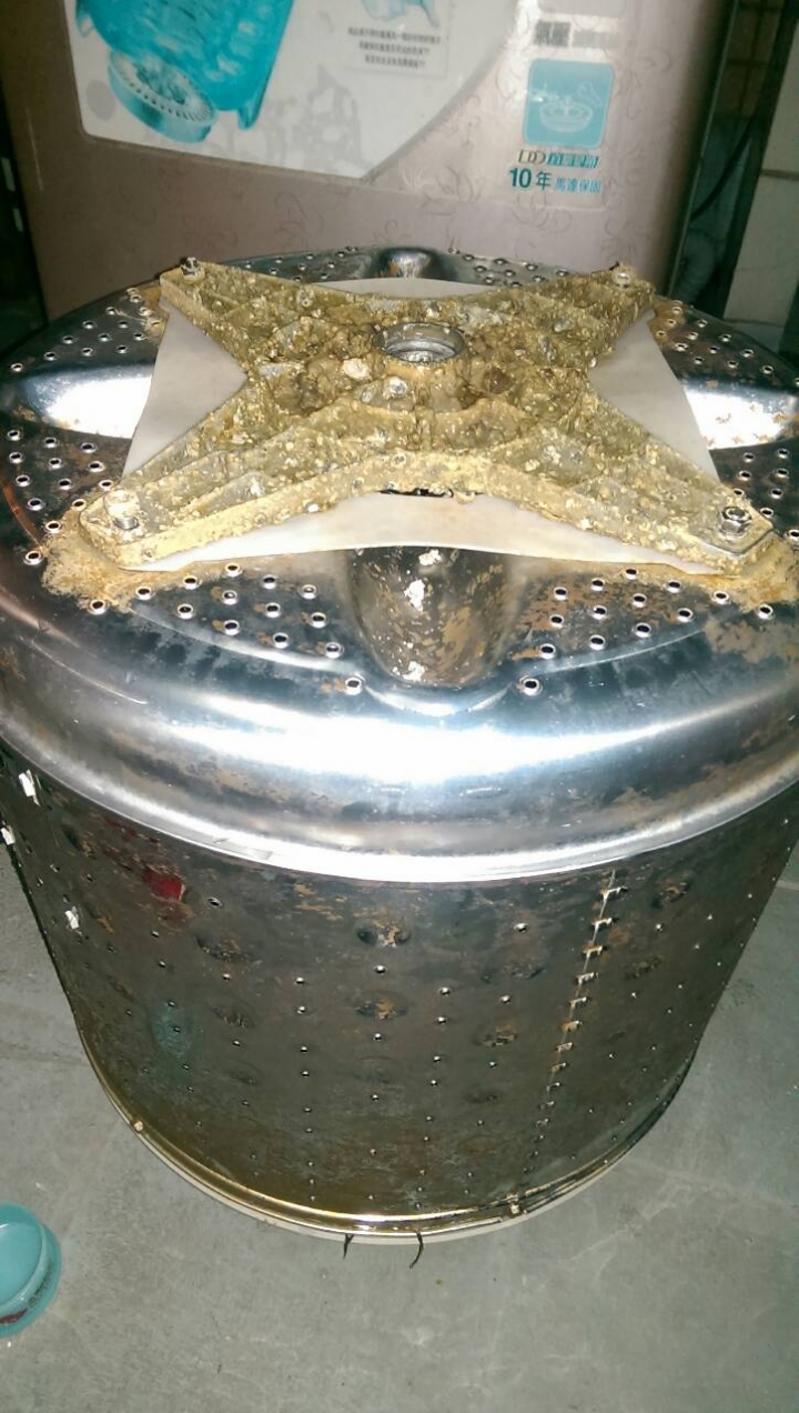 這是海底珊瑚還是汙垢