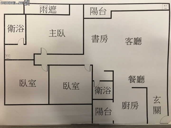 [開箱] 以一隻貓咪的角度看世界