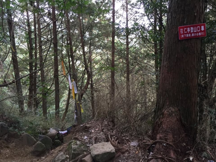 1041221 單攻水漾森林 A線(鹿屈山)去B線(林道)回