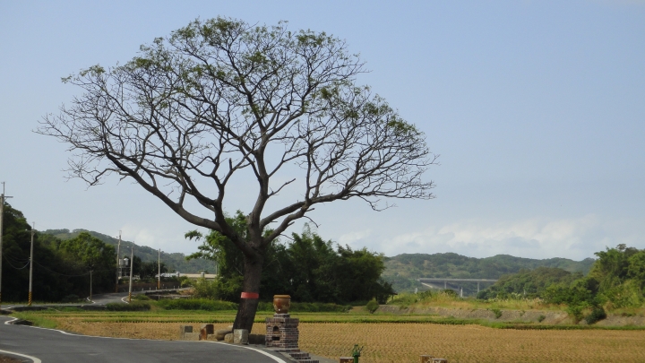 2015-11-24 誤入歧途之 縣道119全線 + 「西湖伯朗大道」與「好望角」 的山海一日遊(下集)