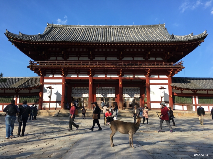 iPhone 6s v.s HTC One A9（京阪神旅行篇）