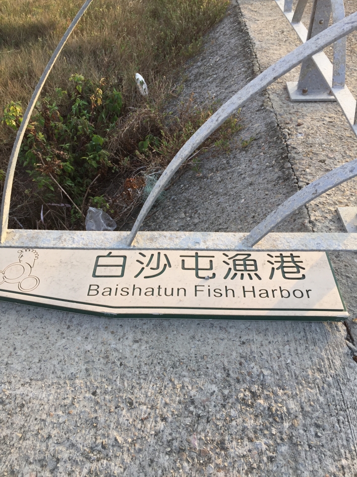 2015-11-24 誤入歧途之 縣道119全線 + 「西湖伯朗大道」與「好望角」 的山海一日遊(下集)