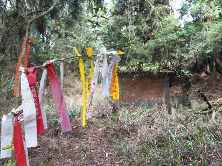 1041221 單攻水漾森林 A線(鹿屈山)去B線(林道)回
