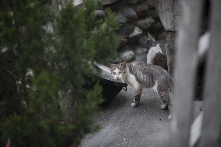 d700的畢業假環島旅行