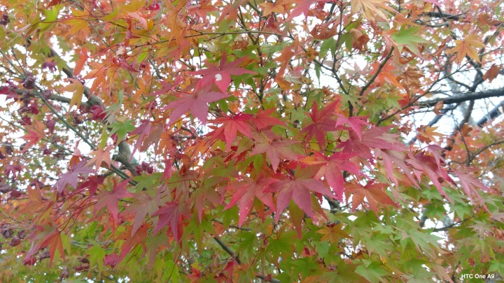 iPhone 6s v.s HTC One A9（京阪神旅行篇）