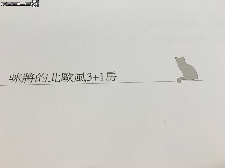 [開箱] 以一隻貓咪的角度看世界